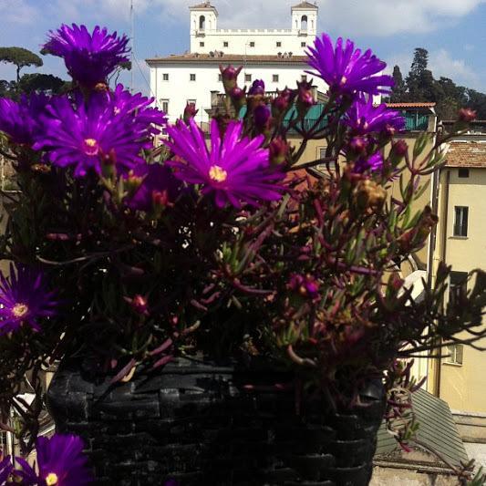 Domus Valeria Guest House Rome Luaran gambar
